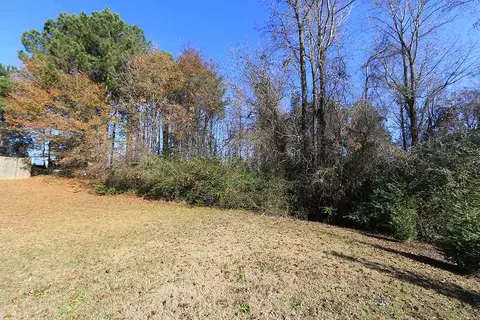 153 Gray Ghost St, Benson, NC 27504 photo 11