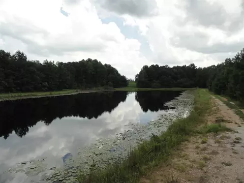 6270 Meadowbrook Rd, Benson, NC 27504 photo 5