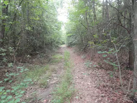 6270 Meadowbrook Rd, Benson, NC 27504 photo 11