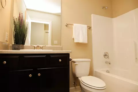 113 Lightning Trail Trl, Smithfield, NC 27577 photo 16