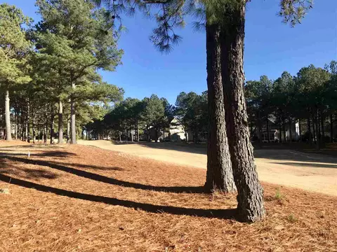 1308 Brewer Jackson Ct, Wake Forest, NC 27587 photo 25