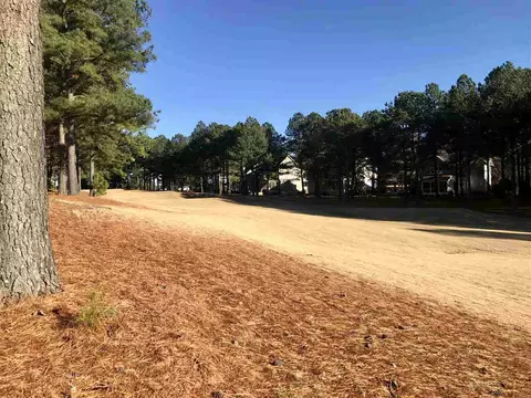 1308 Brewer Jackson Ct, Wake Forest, NC 27587 photo 24