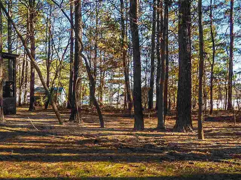 209 Sweet Pea Ln, Willow Spring, NC 27592 photo 19