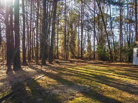 209 Sweet Pea Ln, Willow Spring, NC 27592 photo 17