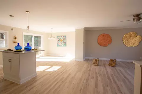 1701 Stacy Dr, Durham, NC 27712 photo 5