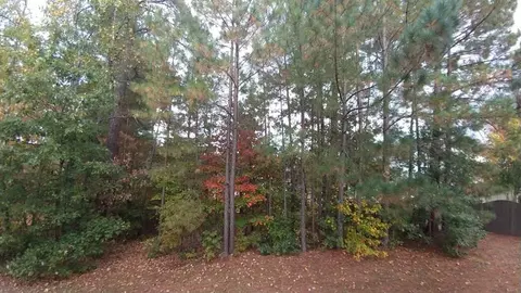 6 Weeping Beech Way, Durham, NC 27713 photo 20