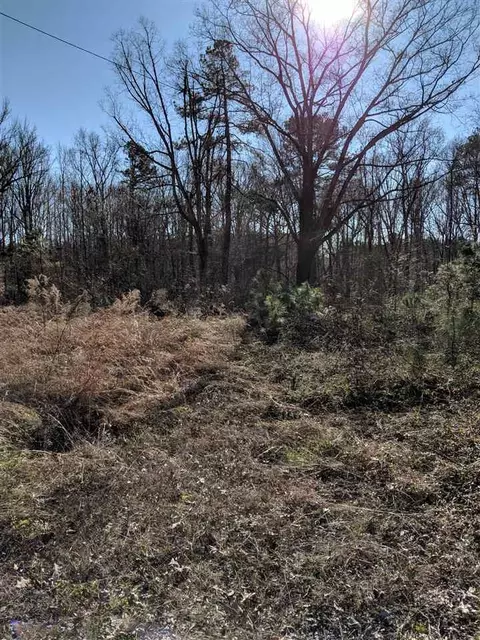 2114 Cheek Rd, Durham, NC 27704 photo 5