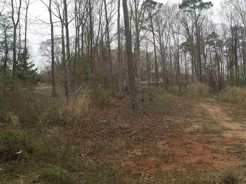 207 Lansing Dr, Benson, NC 27504 photo 28