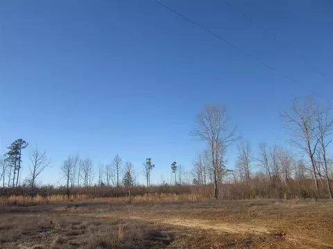 299 Arabian Dr, Middlesex, NC 27557 photo 13