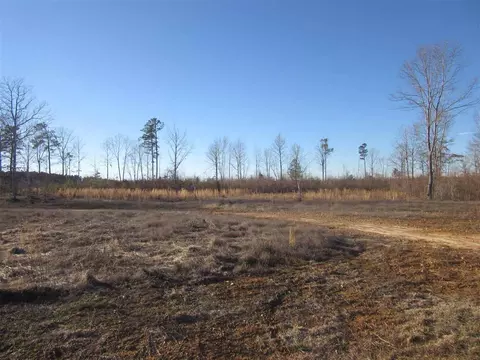 299 Arabian Dr, Middlesex, NC 27557 photo 14