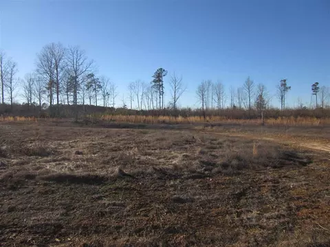 299 Arabian Dr, Middlesex, NC 27557 photo 12