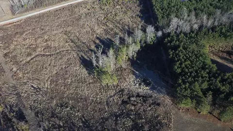 169 Arabian Dr, Middlesex, NC 27557 photo 9