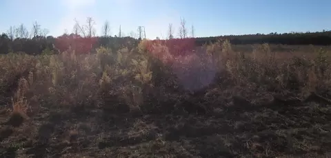 169 Arabian Dr, Middlesex, NC 27557 photo 3