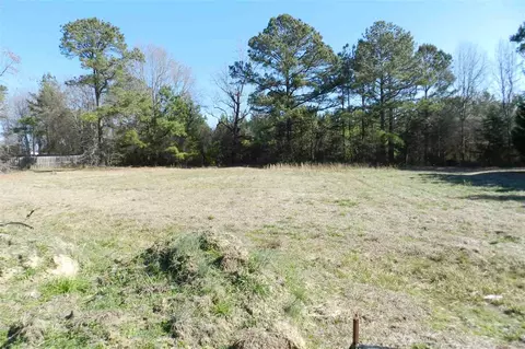 31 Gray Squirrel Dr, Angier, NC 27501 photo 12