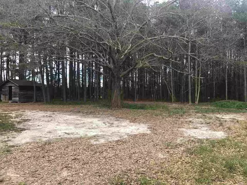2900 Alron Rd, Wendell, NC 27591 photo 14