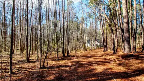16409 New Light Rd, Wake Forest, NC 27587 photo 24