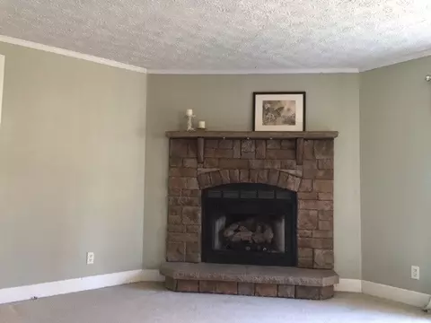 210 Enos Slaughter Rd, Roxboro, NC 27574 photo 5