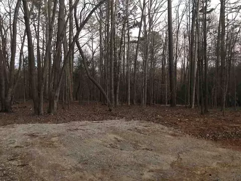 3420 Keighley Forest Dr, Wake Forest, NC 27587 photo 4