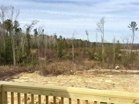56 Evalice Ct, Angier, NC 27501 photo 4