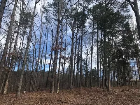 1706 Milan St, Durham, NC 27704 photo 15