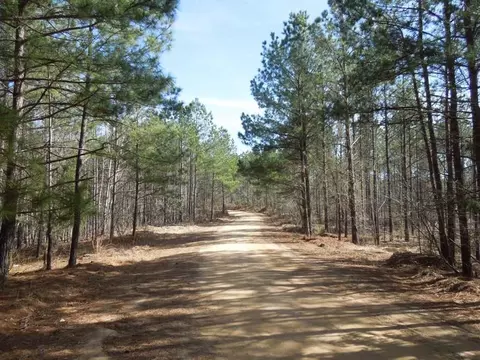 2503 Baptist Rd, Durham, NC 27703 photo 12