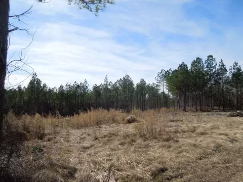 2503 Baptist Rd, Durham, NC 27703 photo 6