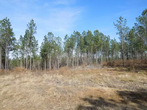 2503 Baptist Rd, Durham, NC 27703 photo 4