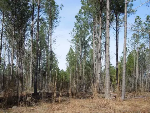 2503 Baptist Rd, Durham, NC 27703 photo 9
