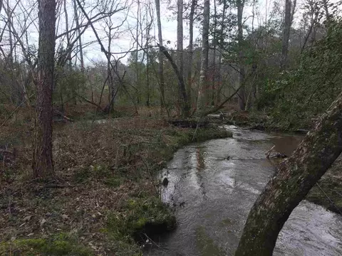 10355 Claude Lewis Rd, Middlesex, NC 27557 photo 10