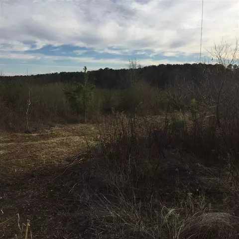 10355 Claude Lewis Rd, Middlesex, NC 27557 photo 4