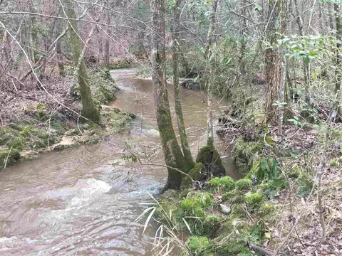 10355 Claude Lewis Rd, Middlesex, NC 27557 photo 9