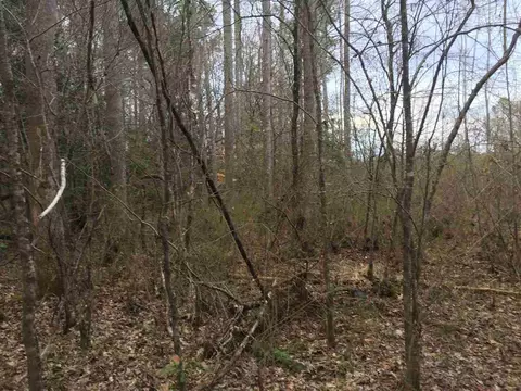 10355 Claude Lewis Rd, Middlesex, NC 27557 photo 13
