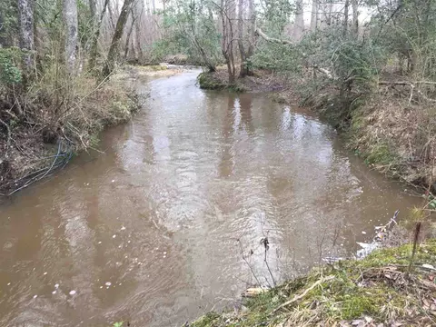 10355 Claude Lewis Rd, Middlesex, NC 27557 photo 8