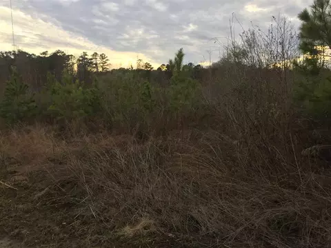 10355 Claude Lewis Rd, Middlesex, NC 27557 photo 14