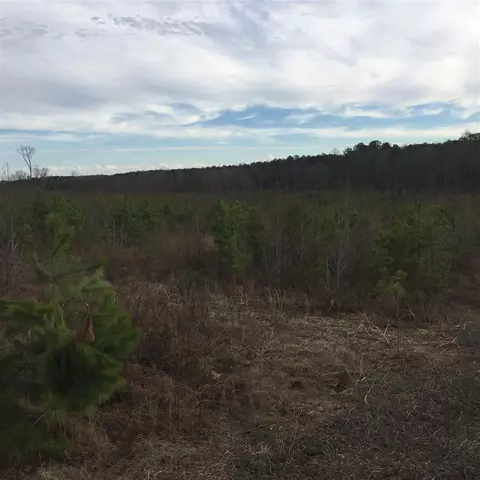 10355 Claude Lewis Rd, Middlesex, NC 27557 photo 6