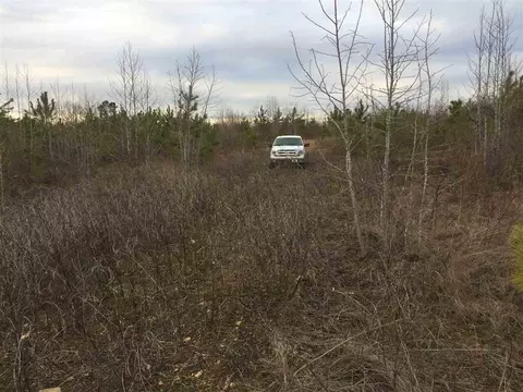 10355 Claude Lewis Rd, Middlesex, NC 27557 photo 15