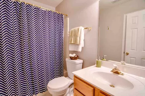 705 Soft Tree Ln, Durham, NC 27712 photo 21