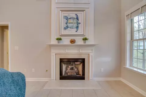 705 Soft Tree Ln, Durham, NC 27712 photo 6