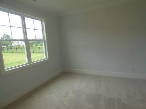 216 Misty Moonlight Dr, Willow Spring, NC 27592 photo 13