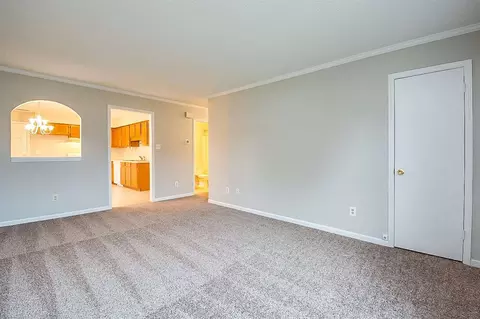 8 Olivia Ct, Durham, NC 27704 photo 8