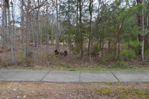 127 Wright Hill Dr, Durham, NC 27712 photo 10