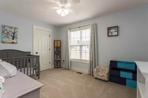 267 Rose Ct, Benson, NC 27504 photo 18