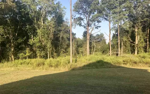 99 Longo Ln, Benson, NC 27504 photo 24
