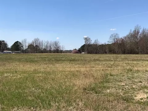 233 Ennis Rd, Benson, NC 27504 photo 5