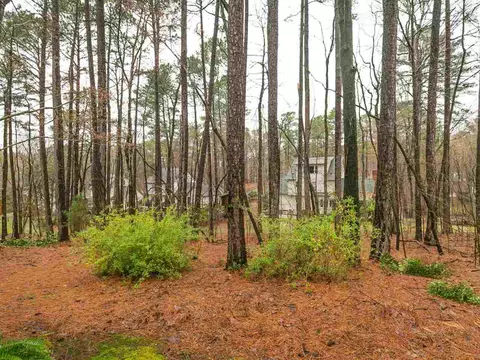 11937 Eagle Bluff Cir, Raleigh, NC 27613 photo 22