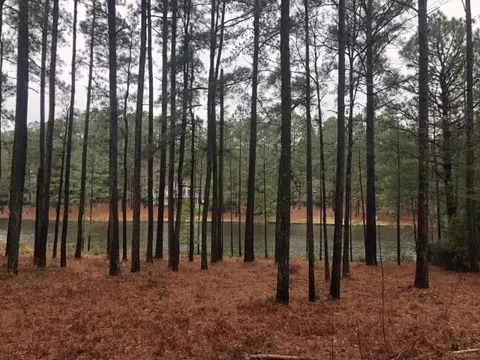 30 Loch Lomond Dr, Pinehurst, NC 28374 photo 2