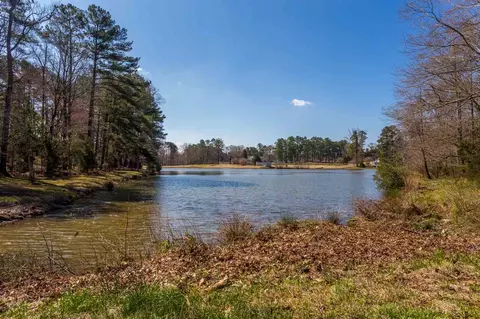 115 Lark Ln, Durham, NC 27712 photo 30