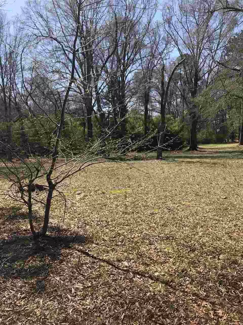 154 E Cedar Ave, Wake Forest, NC 27587 photo 2