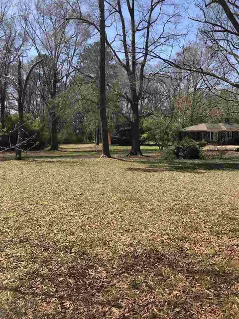 154 E Cedar Ave, Wake Forest, NC 27587 photo 1
