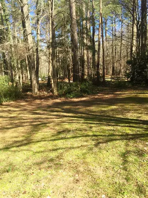 2804 Bethlehem Rd, Raleigh, NC 27610 photo 9